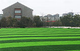 As one of the most famous artificial grass manufactures in the world