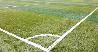 Sports field artificial grass