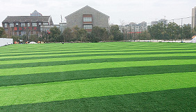 Artificial turf football field 4