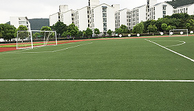 Artificial turf football field 6