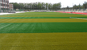 Chaohu new century primary school artificial turf football field
