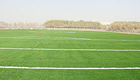 11 people made artificial turf football field in Northwest Bureau of Sinopec