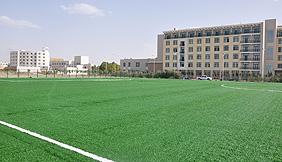 Artificial turf football field in the south of CNPC